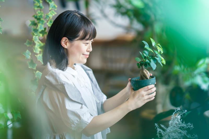 花屋 正社員 イメージ